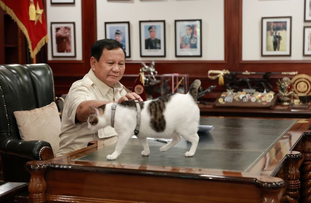 Bobby kucing presiden prabowo meraih perhargaan Google