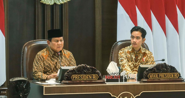 alasan Prabowo bentuk Danantara